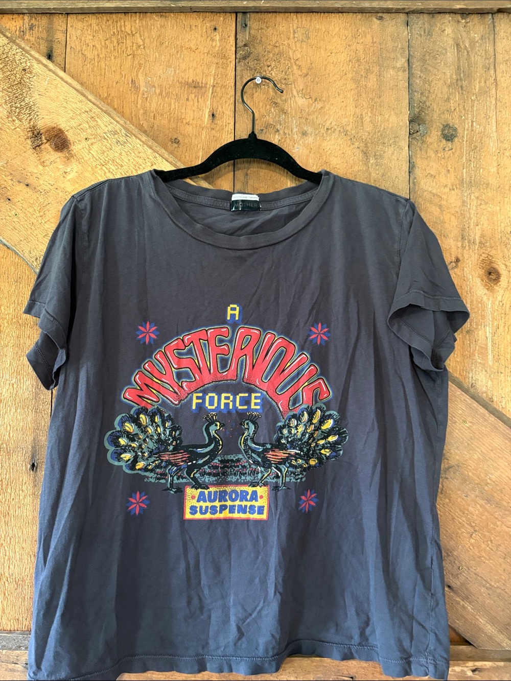 MOTHER Charcoal Gray Mysterious Force Peacock Graphic Tee Vintage Style Shirt M